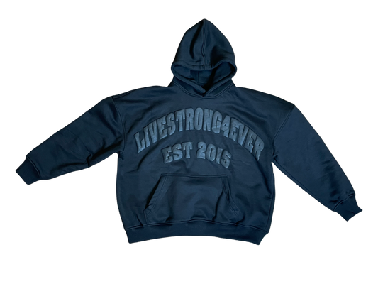 Established LS4E Hoodie