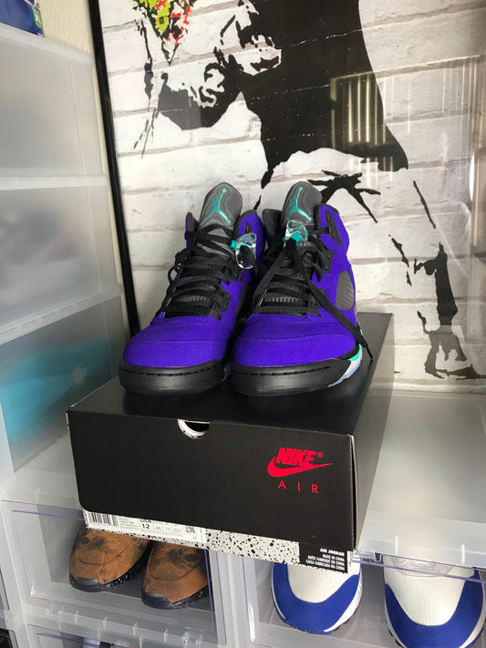 DS 2020 Alternate Grape Jordan 5